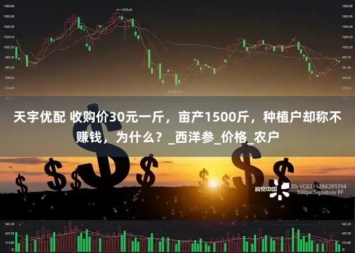 天宇优配 收购价30元一斤，亩产1500斤，种植户却称不赚钱，为什么？_西洋参_价格_农户