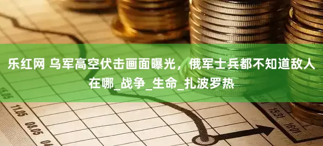 乐红网 乌军高空伏击画面曝光，俄军士兵都不知道敌人在哪_战争_生命_扎波罗热